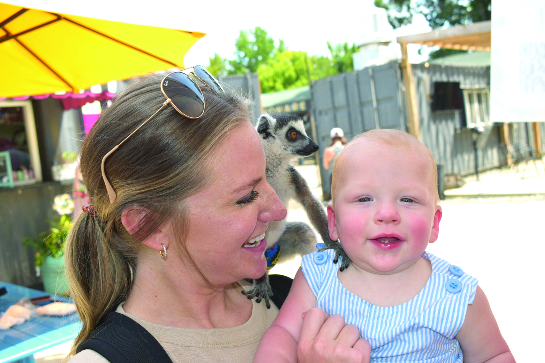 Lollies & Lemurs at Huntington Square